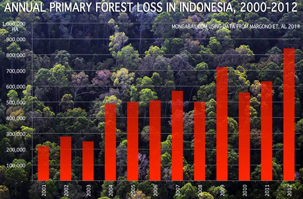 Trouble in Sumatra