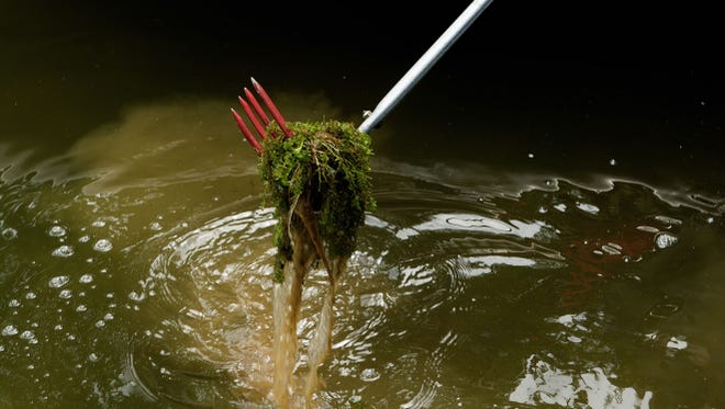War in the Water: Man vs. Plant