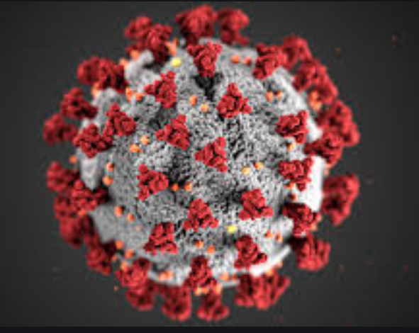 Behind the Scenes of Coronavirus