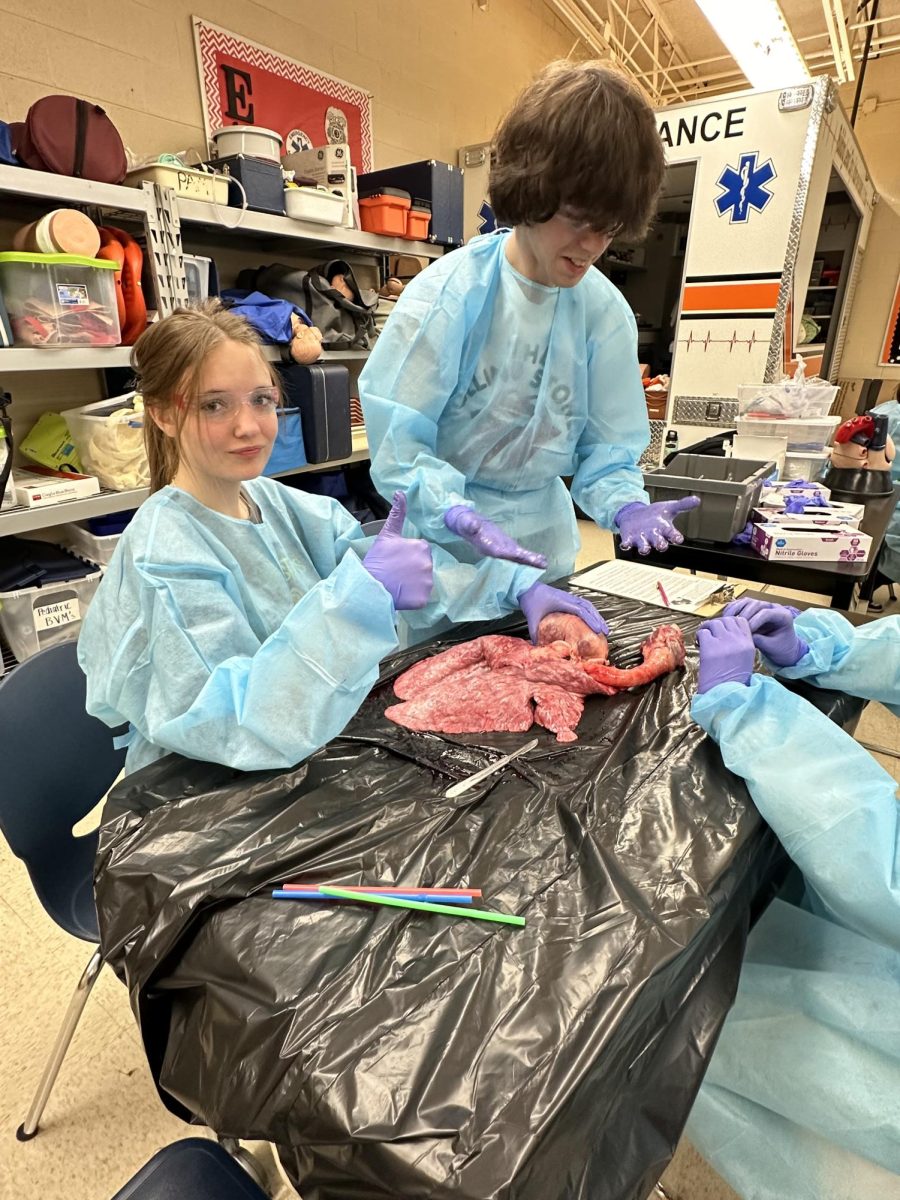 Rhianna Waden (11) poses with the pig organs while her partner starts dissecting.