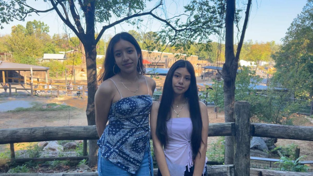 Zoo Field Trip