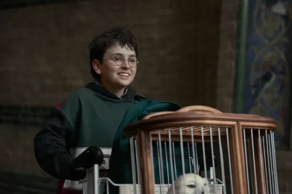 "The wand chooses the wizard, Mr. Potter"